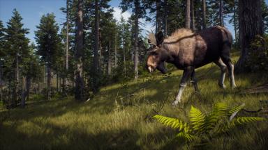 Way of the Hunter PC Key Fiyatları