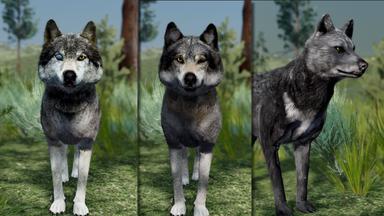 WolfQuest Anniversary - Building Character Pack Fiyat Karşılaştırma