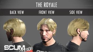 SCUM Male Hair pack PC Fiyatları