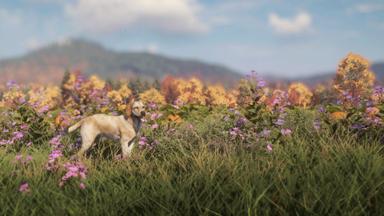 theHunter: Call of the Wild™ - Labrador Retriever PC Fiyatları