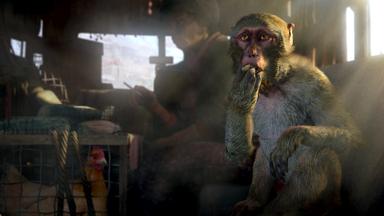 Far Cry® 4 PC Key Fiyatları