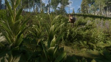 theHunter: Call of the Wild™ - Silver Ridge Peaks Fiyat Karşılaştırma