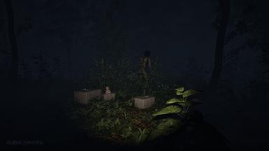 Surrounded PC Key Fiyatları