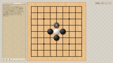 The Conquest of Go PC Key Fiyatları