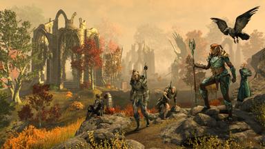 The Elder Scrolls Online: Gold Road PC Key Fiyatları