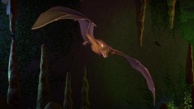Planet Zoo: Twilight Pack PC Fiyatları