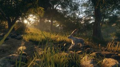 theHunter: Call of the Wild™ - Rancho del Arroyo PC Key Fiyatları