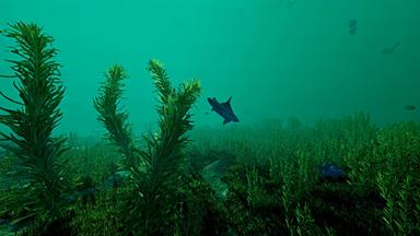 Ecosystem