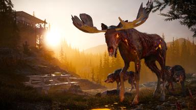 Far Cry® 5