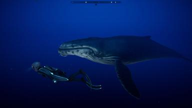 Beyond Blue PC Key Fiyatları