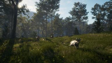 theHunter: Call of the Wild™ - Te Awaroa National Park Fiyat Karşılaştırma