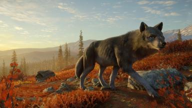 theHunter: Call of the Wild™ - Yukon Valley PC Fiyatları