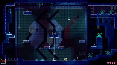ANIMAL WELL