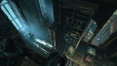 Thief PC Fiyatları