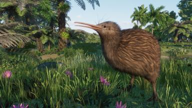 Planet Zoo: Oceania Pack PC Fiyatları