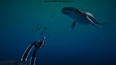 Beyond Blue