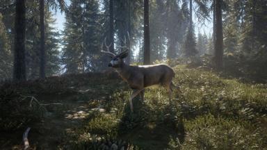 theHunter: Call of the Wild™ PC Fiyatları