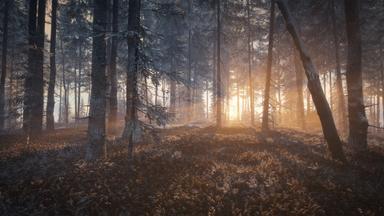 theHunter: Call of the Wild™ - Medved-Taiga PC Key Fiyatları