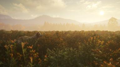 theHunter: Call of the Wild™ - Labrador Retriever