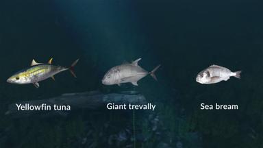 Ultimate Fishing Simulator - New Fish Species Fiyat Karşılaştırma
