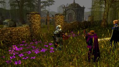Neverwinter Nights: Darkness Over Daggerford PC Key Fiyatları