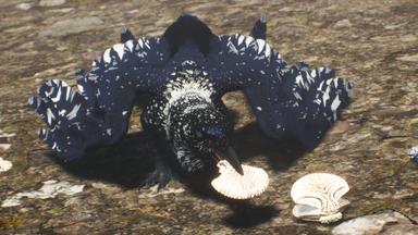 Draconia PC Key Fiyatları