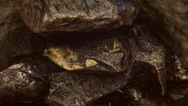 Dinosaur Fossil Hunter PC Fiyatları