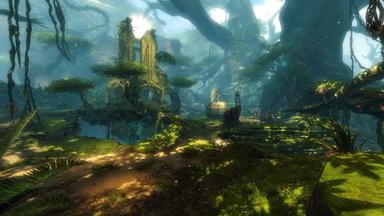 Guild Wars 2: Heart of Thorns™ &amp; Guild Wars 2: Path of Fire™ Expansions