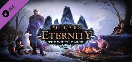 Pillars of Eternity - The White March Part I