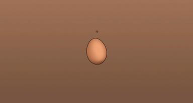 Egg