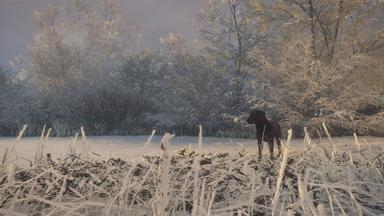 theHunter: Call of the Wild™ - Labrador Retriever PC Key Fiyatları