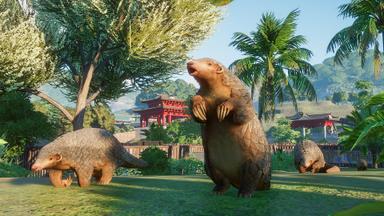 Planet Zoo PC Fiyatları