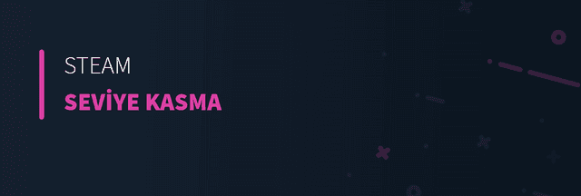Steam Seviye Kasma