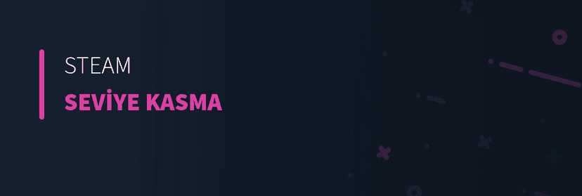Steam Seviye Kasma