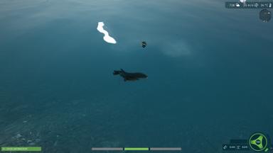 Ultimate Fishing Simulator - Taupo Lake DLC