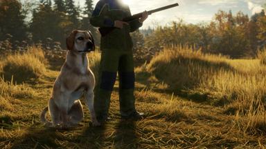 theHunter: Call of the Wild™ - Labrador Retriever Fiyat Karşılaştırma