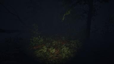 Surrounded