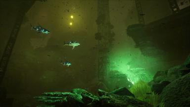 Aquanox Deep Descent PC Fiyatları