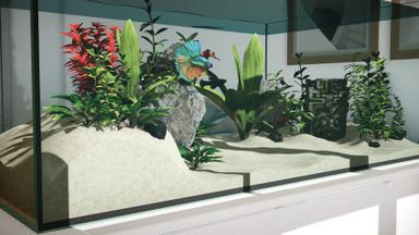 Aquarium Designer Fiyat Karşılaştırma