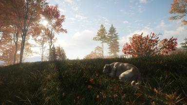 theHunter: Call of the Wild™ - Labrador Retriever