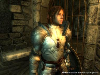 The Elder Scrolls IV: Oblivion® Game of the Year Edition PC Key Fiyatları