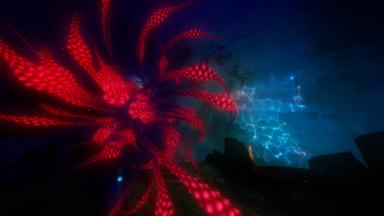 Wave Beta