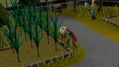 Old School RuneScape PC Key Fiyatları