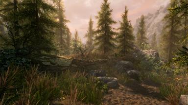 The Elder Scrolls V: Skyrim Special Edition PC Fiyatları