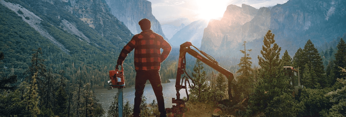 Lumberjack's Dynasty İnceleme