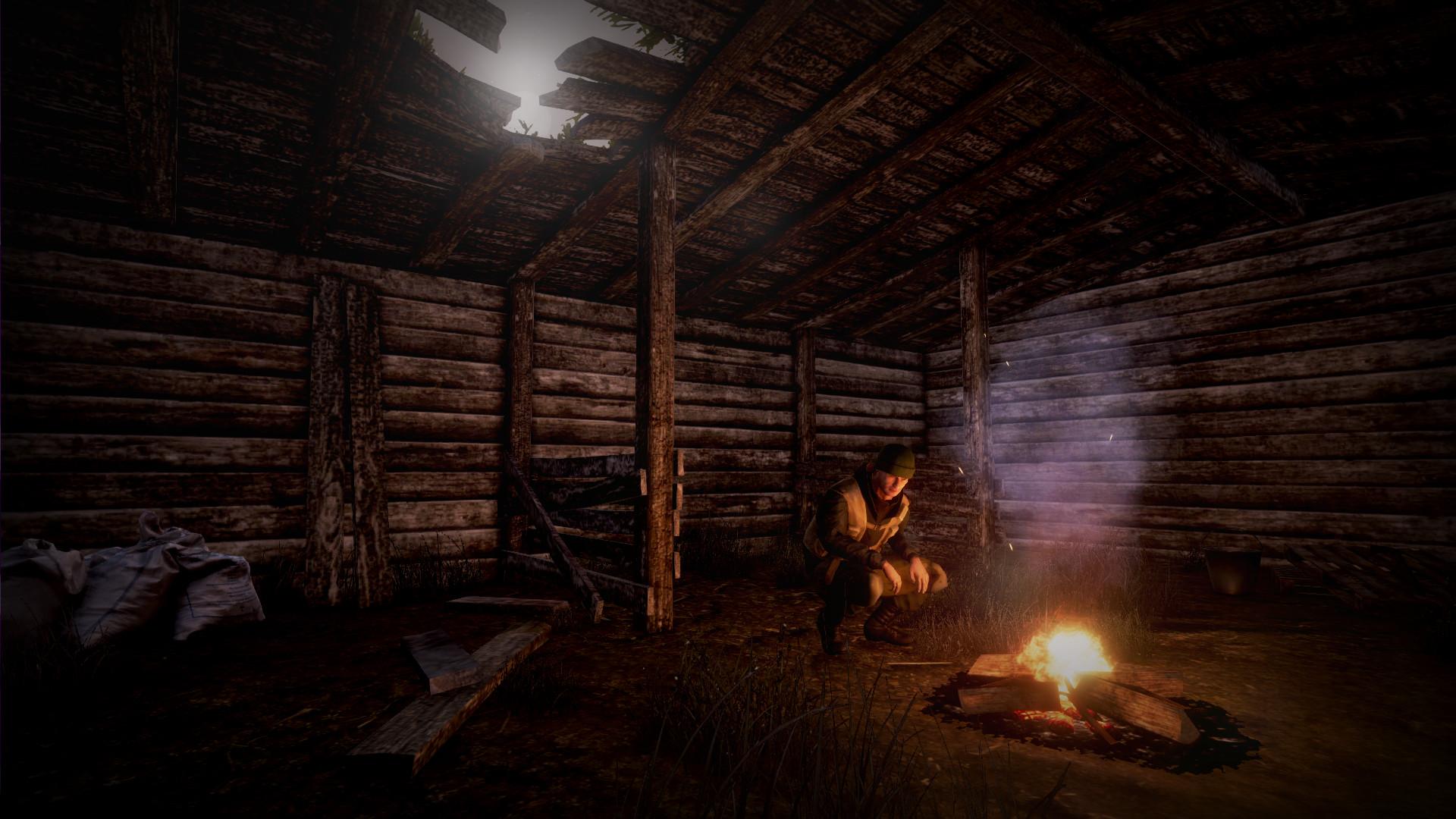 Next Day: Survival