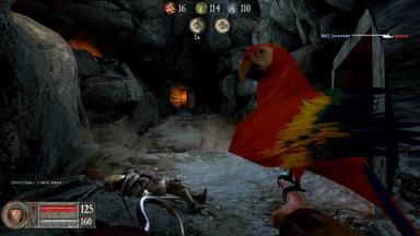 Pirates, Vikings, and Knights II