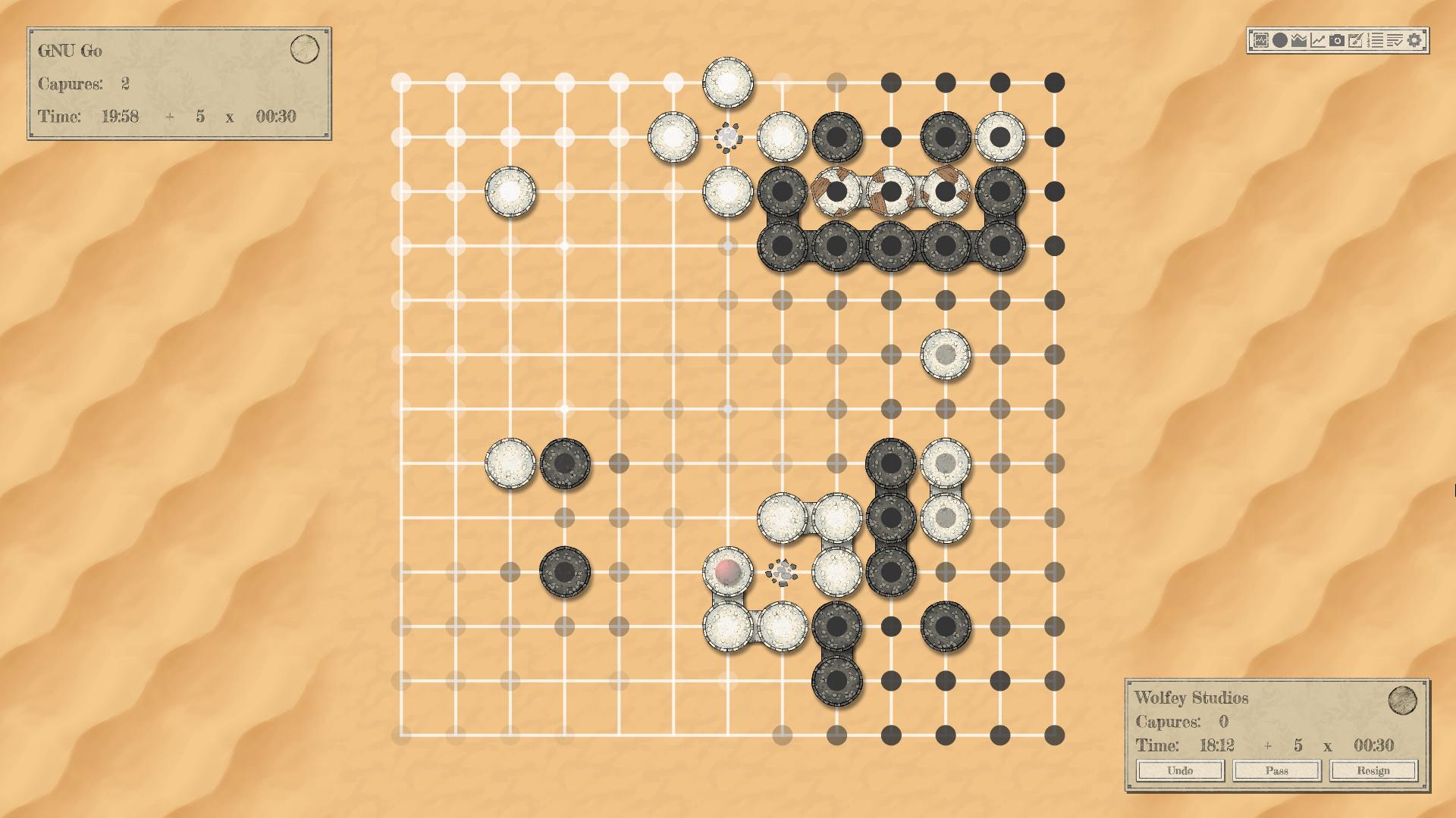 The Conquest of Go