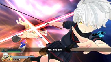 SENRAN KAGURA ESTIVAL VERSUS PC Fiyatları