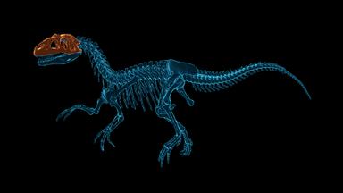 Dinosaur Fossil Hunter: Prologue Fiyat Karşılaştırma